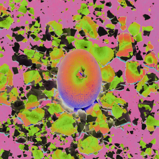 Amuleti series by Sofia Dell'Aversano Orabona: an apple among scattered leaves in inverted, psychedelic colours