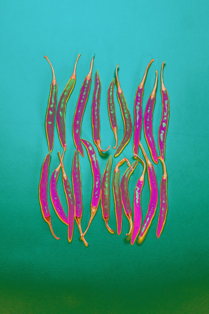 Amuleti — Print 05